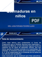 Guia Grafica Quemadu 20234