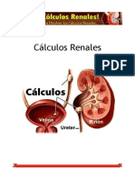 Libro ۩ No Más Cálculos Renales PDF de Leslie Vivas.pdf