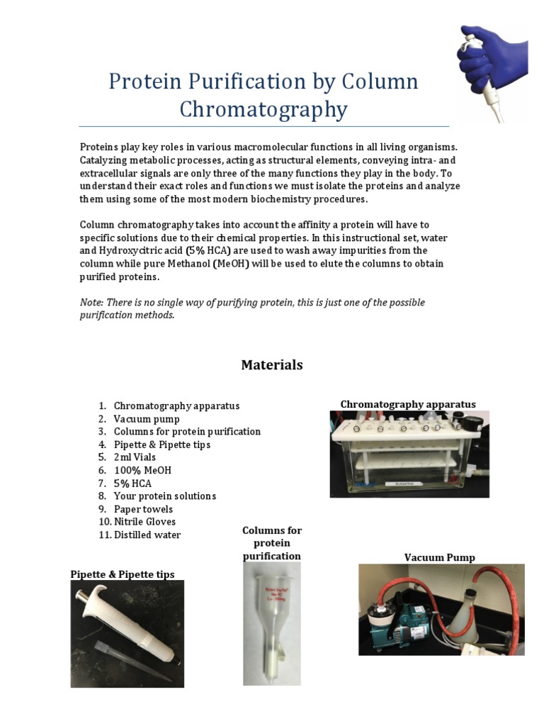 protein purification by column chromatography final Chromatography