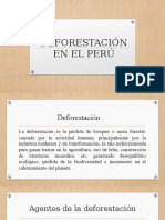 presentacion deforestacion