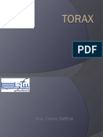 Torax