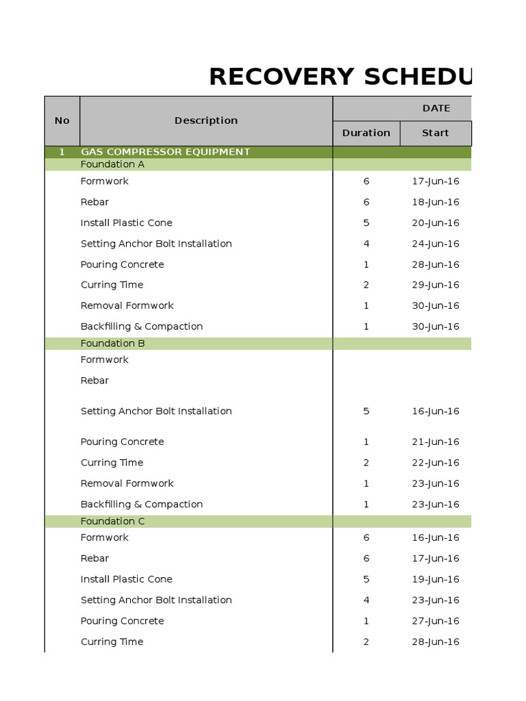 Construction Schedule Overview | PDF | Building | Horticulture And ...