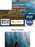 Discerning Between Giant Kelp and Bull Kelp in AVIRIS Imagery