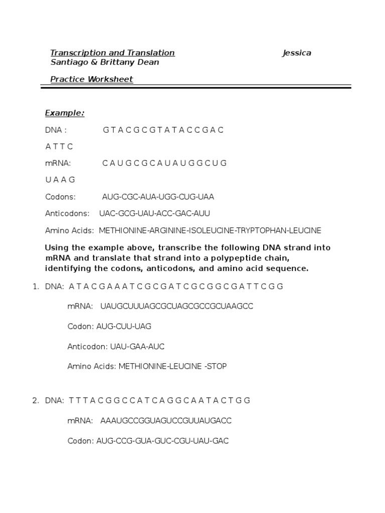 Transcription and Translation Worksheet