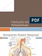 Fisiologi & Patofisiologi Sistem Pernapasan