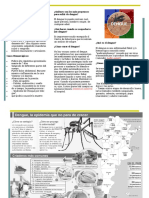 19944304 Triptico Del Dengue (1)