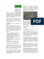 cal agricola4253.pdf