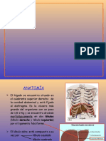 Fisiología-Hepática 