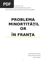 Problema Minoritatilor in Franta