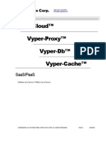 VyperCloud™ Executive Summary (12-16-2008)