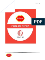 Pran RFL Project Final