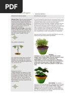 ERVAS MEDICINAIS - CANTOVERDE