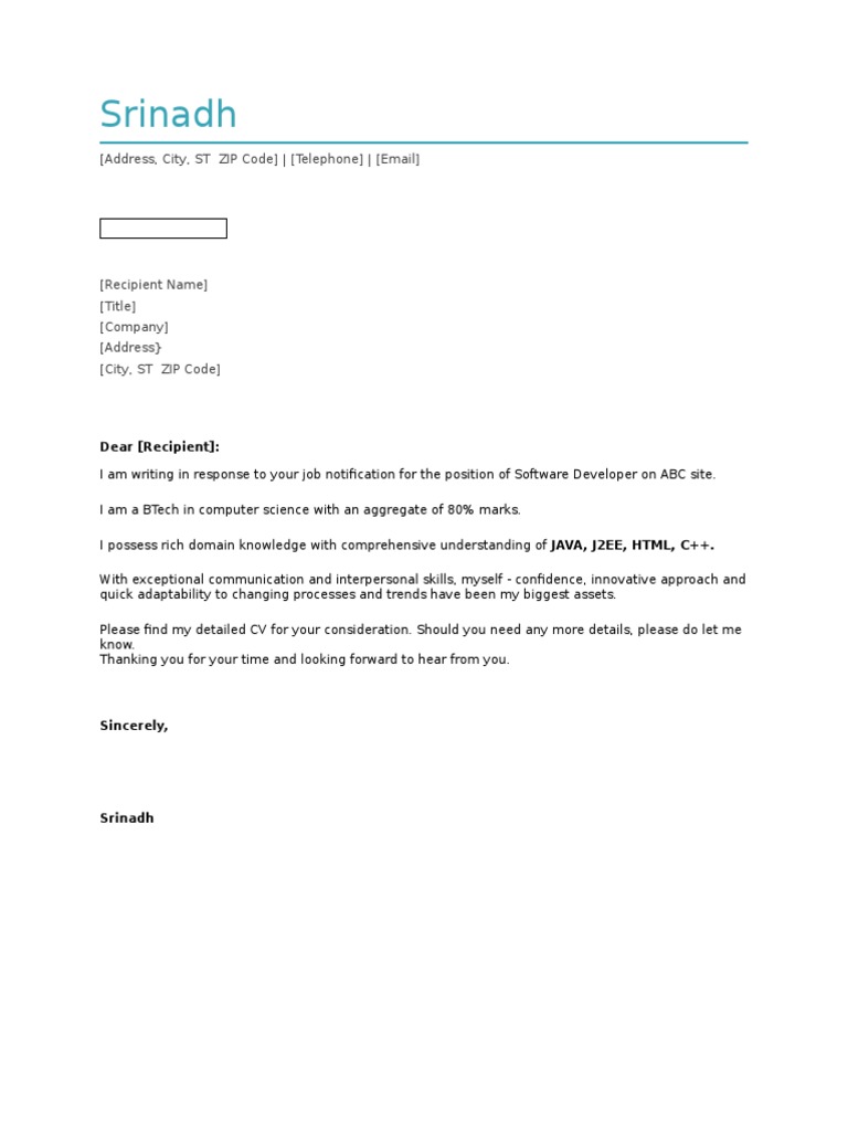 Job Application for Software Developer | PDF