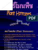 Plant Hormone