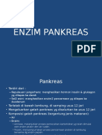 enzim-pankreas