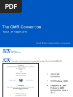 File 10 Cmr Convention Iru