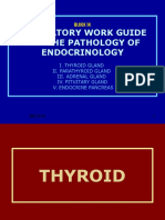 Praktikujm Endokrinologi PPT Draft