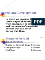1-4 Prenatal Dev