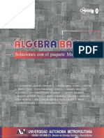 ADALID_DIEZ_DE_U_CLARAMARTHA_algebra_Basica_Soluciones_con_e.pdf