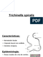 Cestodes Tisulares Más Trichinella