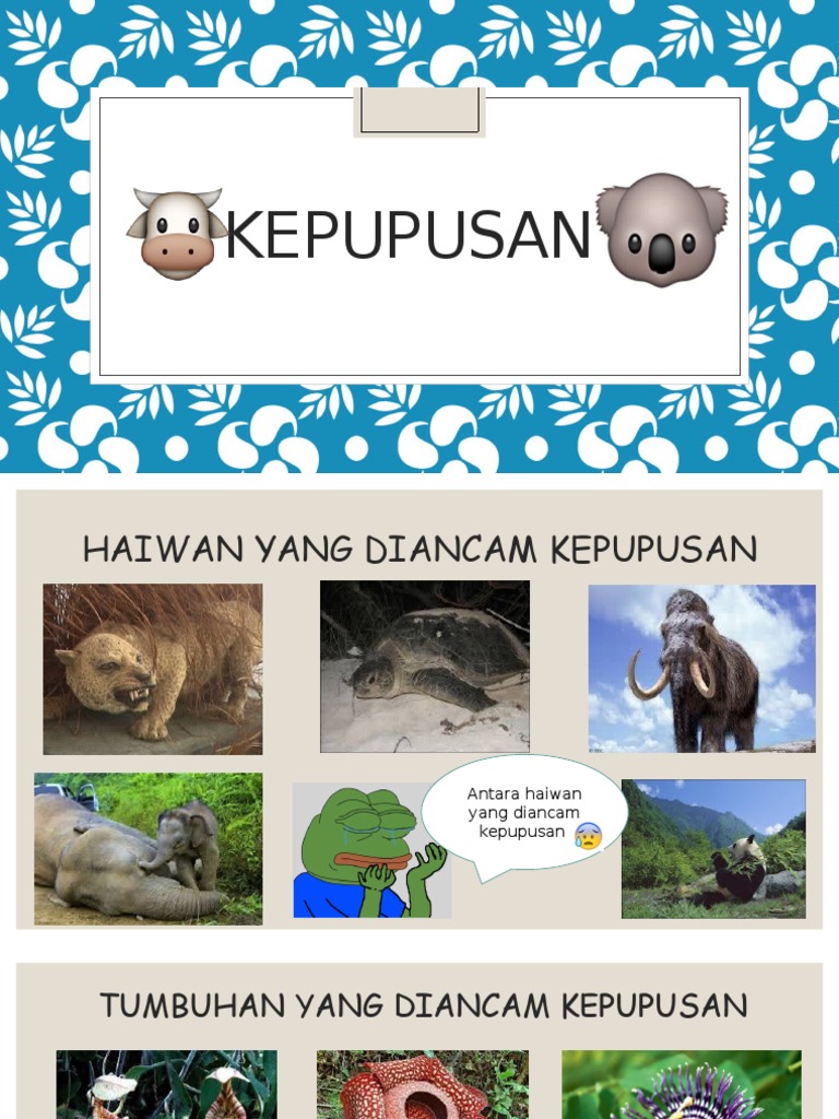 Kepupusan Pptx