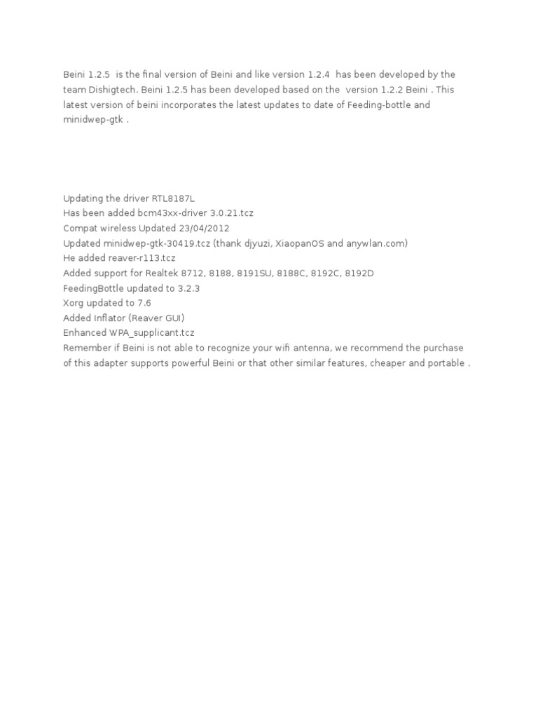 Beini 1.2.5 Manual
