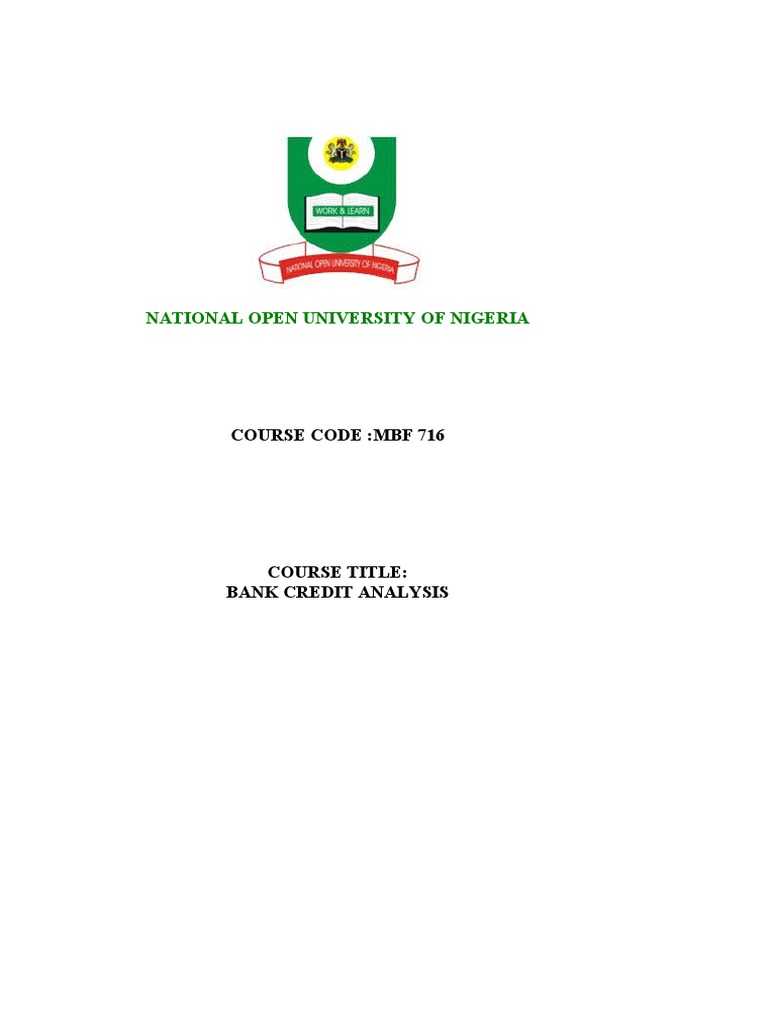 Bank Credit Analysis Course Guide | PDF | Financial Markets | Banks