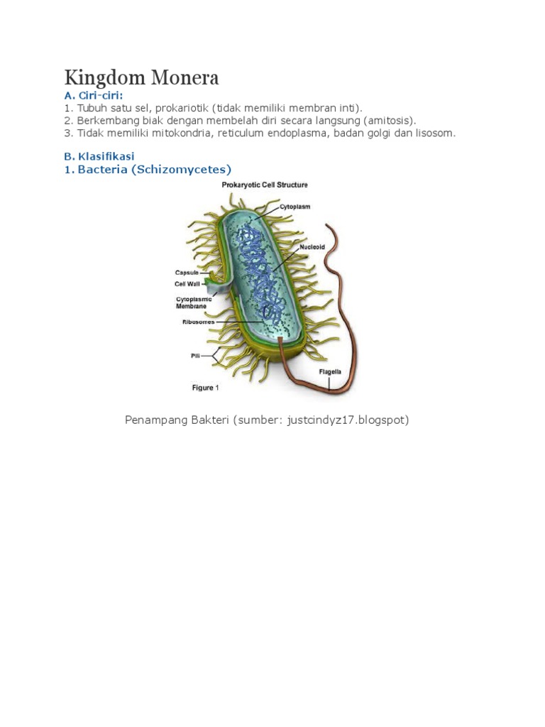 Ciri dan Klasifikasi Kingdom Monera | PDF