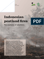 Indonesian Peatland Fires: Perceptions of Solutions