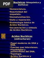 ANucleicos.ppt