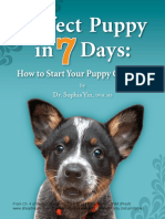Potty Training From Perfect Pup