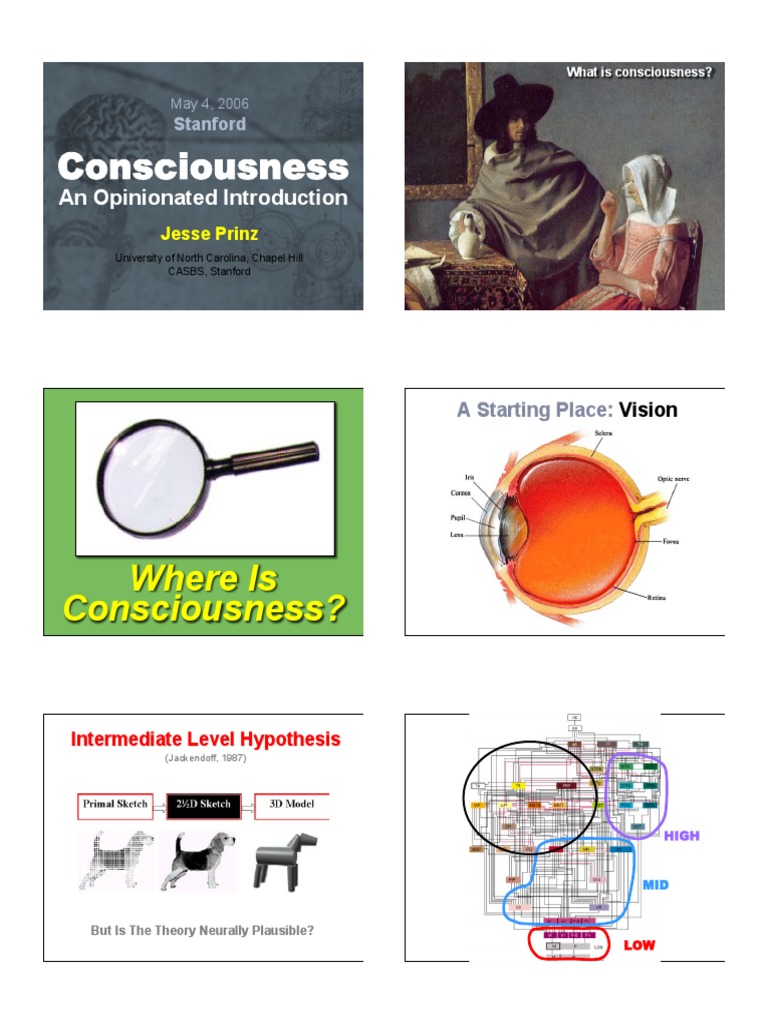 Understanding Consciousness and Attention | PDF
