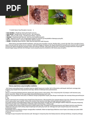 7700 Koleksi Gambar Hewan Yang Merugikan Manusia Gratis