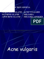 Disorders of Skin Adnexa - Sebaceous Gland - Acne Vulgaris - Eccrine Gland - Miliaria - Apocrine Gland - Miliaria Apokrin