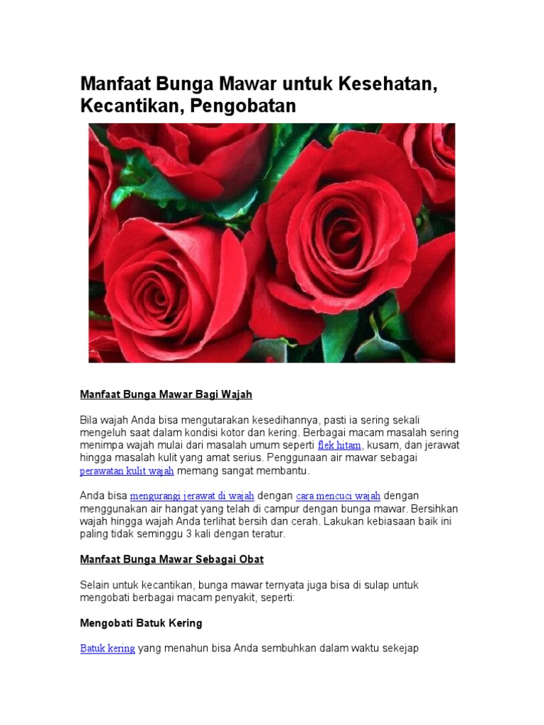 Teks  Laporan Hasil Observasi Bunga  Mawar  Berbagi Teks    Teks  Laporan Hasil Observasi Bunga  Mawar  Berbagi Teks