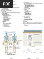Download 46616450 Sistem Gerak Pada Manusia by Biologi Irwanto SN321114749 doc pdf