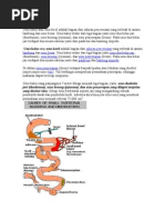 Download Usus halus by r0nal SN32112239 doc pdf