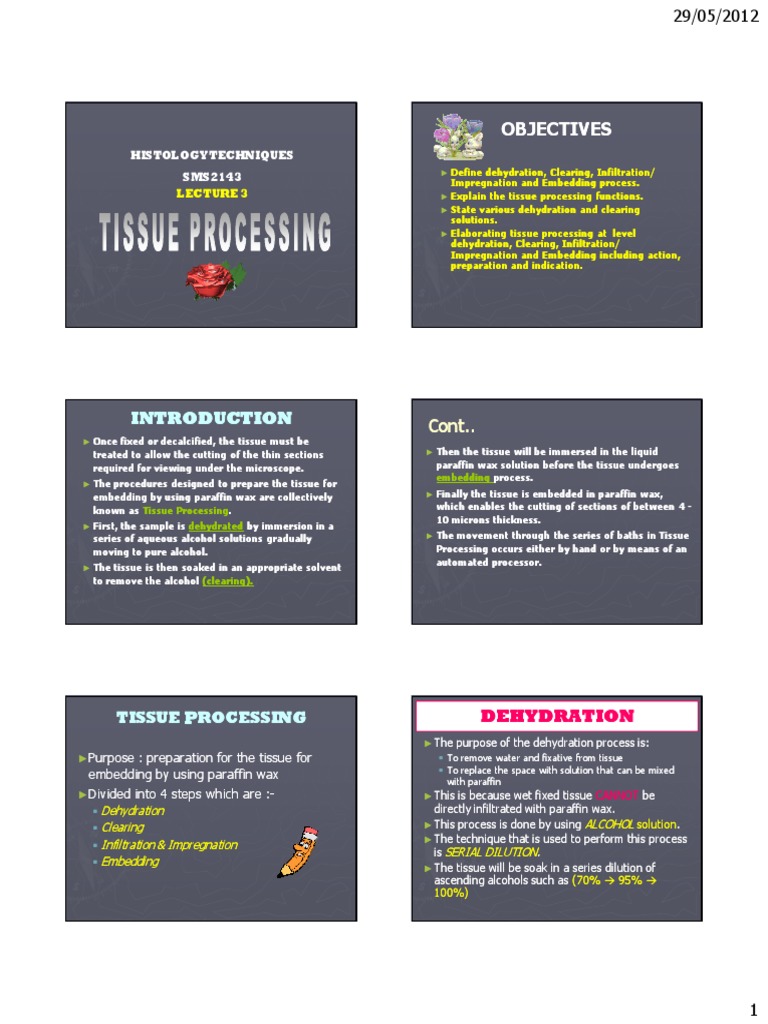 Tissue Processing Histopathology Histology