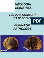 Patologia-perinatala..ppt
