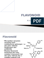 Fito Flavonoid