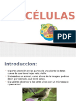 ciencia celula (3)