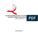 Insular Southeast Asia Consultation Final Report