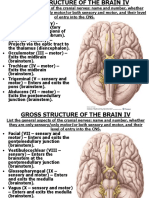 Neuro 5 Gross Structure of the Brain IV 2013