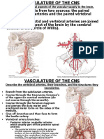 Neuro 7 Vasculature of the CNS 2013
