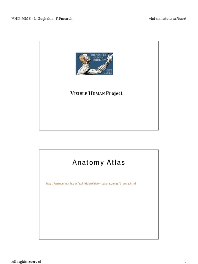 Visible Human Project Dataset Overview | PDF | Computers