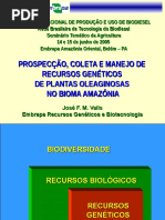 20oleaginosas.ppt