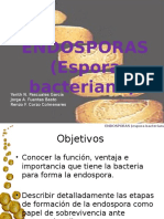 Endospora