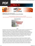 Peixe Com Ciência_ Reprodução de Pirarucu Em Cativeiro