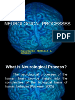 Neurological Development 