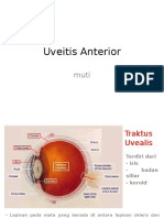 Uveitis Anterior